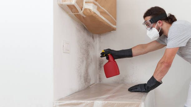 Professional Crawl Space Mold Removal technician working in Highland Park, IL